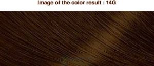 Mã màu Thuốc nhuộm tóc Bigen Cream Tone thảo dược Nhật Bản 14g