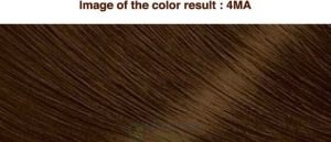 Mã màu Thuốc nhuộm tóc Bigen Cream Tone thảo dược Nhật Bản 4ma
