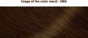 Mã màu Thuốc nhuộm tóc Bigen Cream Tone thảo dược Nhật Bản 5ma